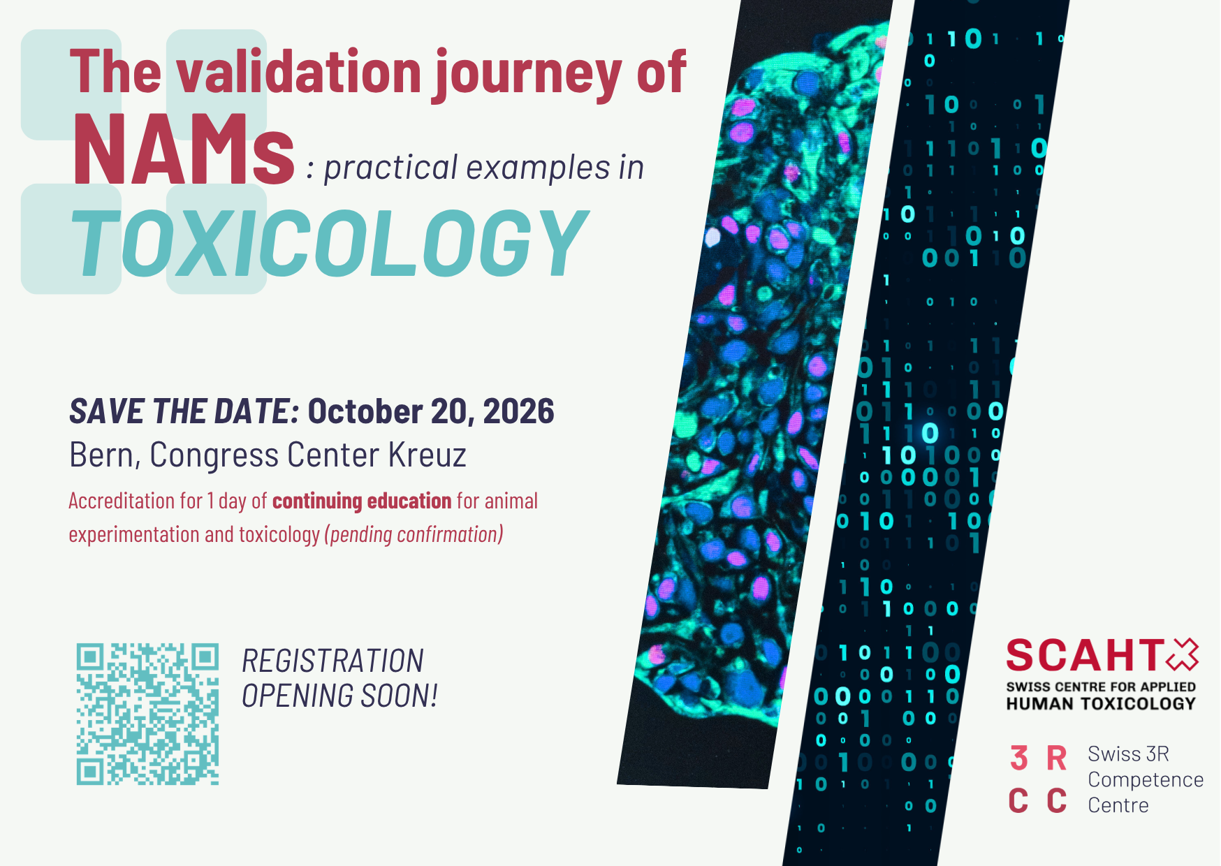 NAMs in Toxicology Flyer